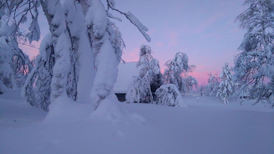 Villa Galdotieva-Seo Leppäjärvi Exterior foto