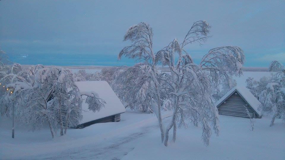 Villa Galdotieva-Seo Leppäjärvi Exterior foto